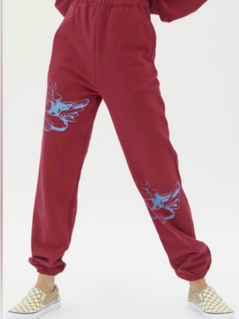 Boys Lie Burgundy Graphic Sweatpants with Blue Bird Print